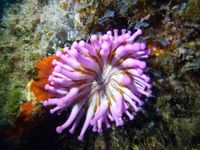 644504_426350417452082_1332575289_n