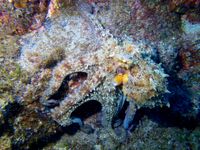 803929_430208297066294_1064584911_n